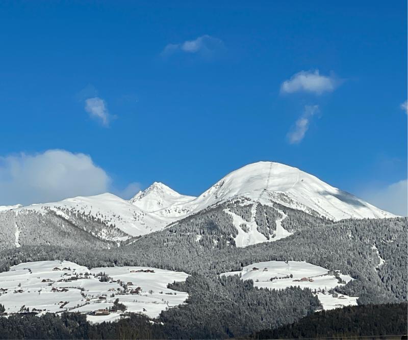 Fotosegnalazione di Naz sciaves