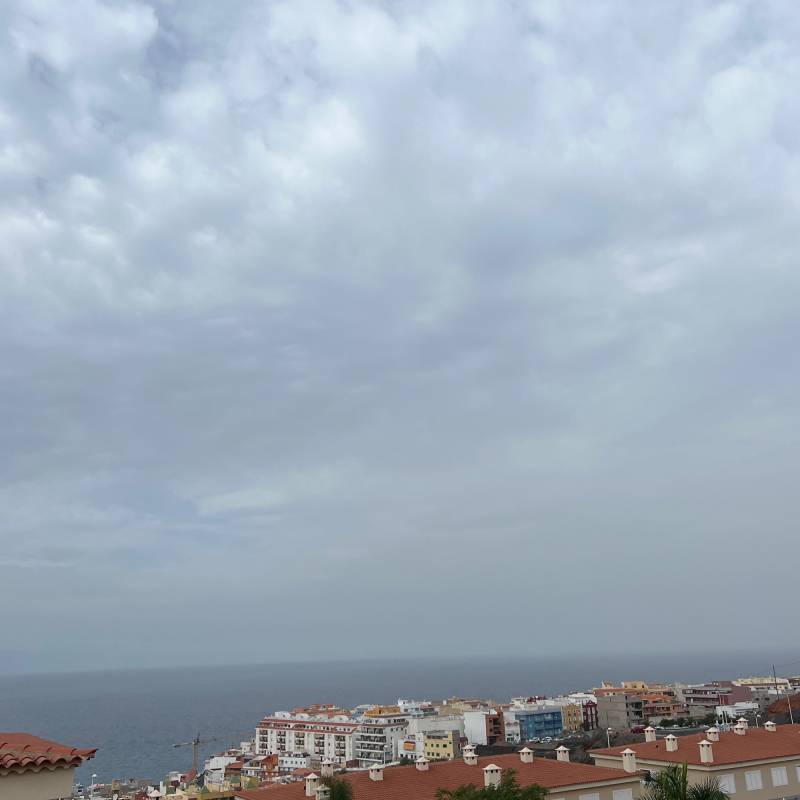 Fotosegnalazione di Puerto de santiago