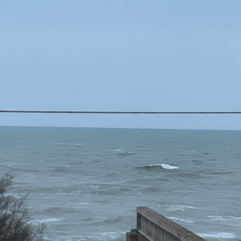 Fotosegnalazione di Bisceglie