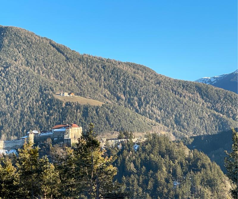 Fotosegnalazione di Naz sciaves
