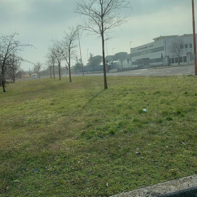 Fotosegnalazione di Cesena