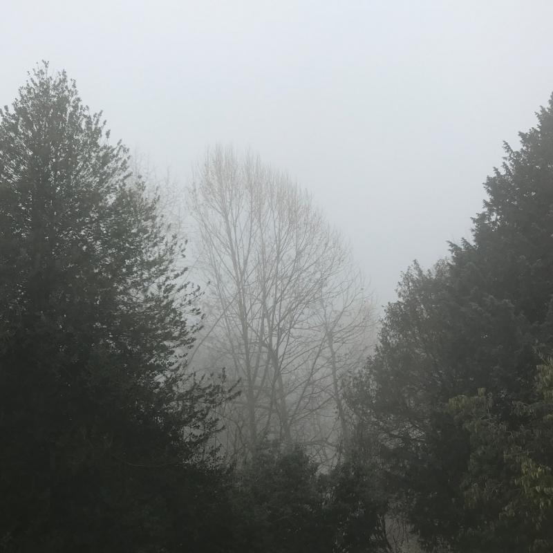 Fotosegnalazione di Luserna san giovanni
