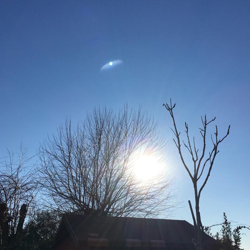 Fotosegnalazione di San giuliano terme
