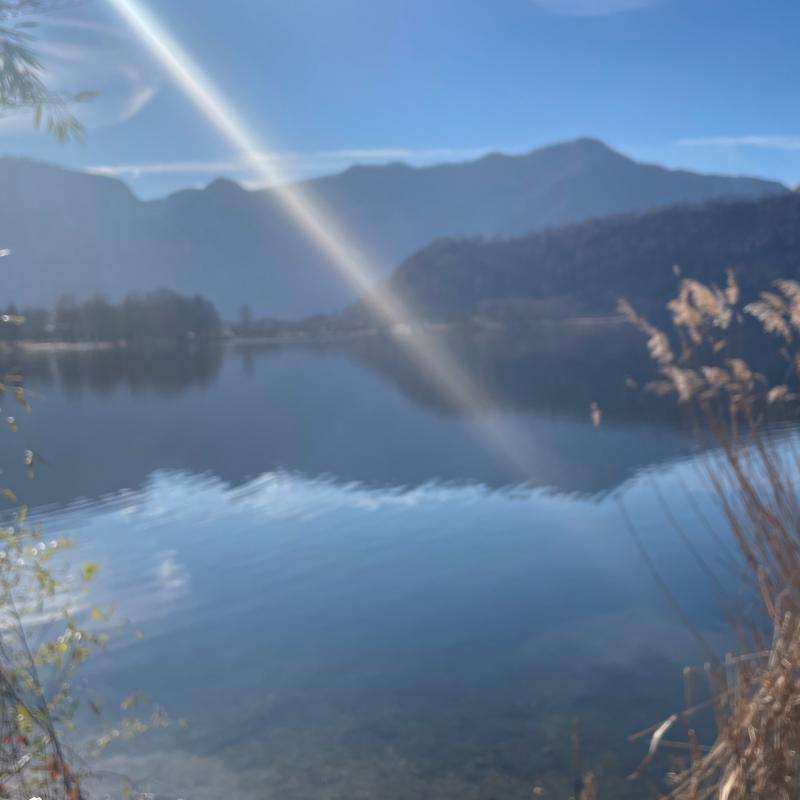 Fotosegnalazione di Levico terme