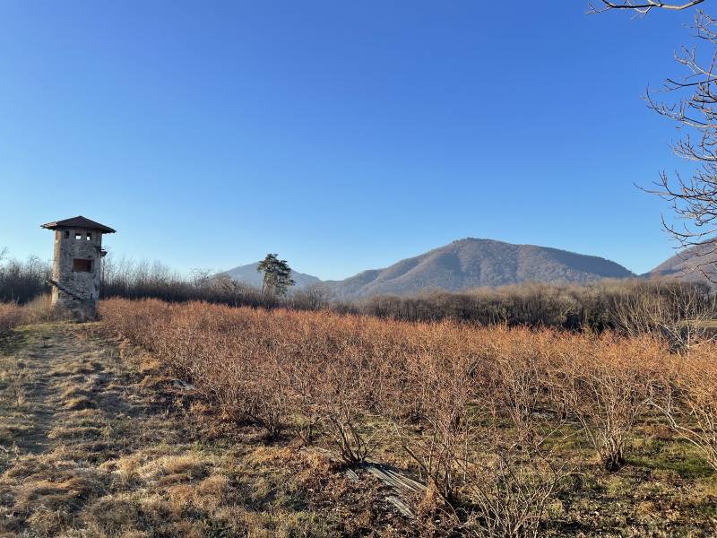 Localita' dovese cascina marinona