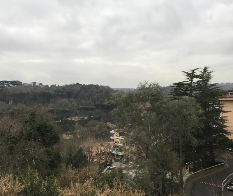 Fotosegnalazione di Roma tomba di nerone