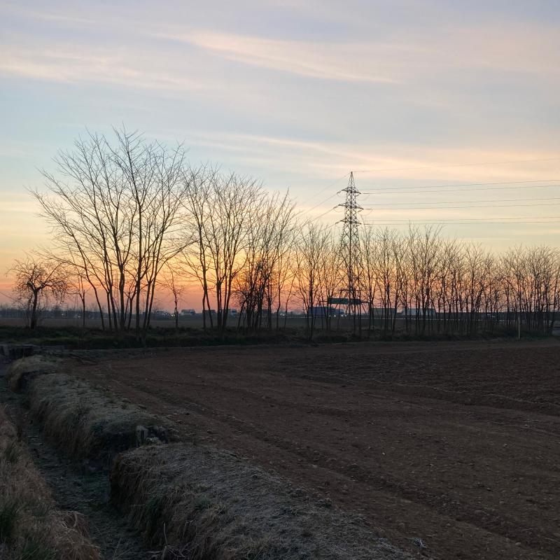 Fotosegnalazione di Santo stefano ticino
