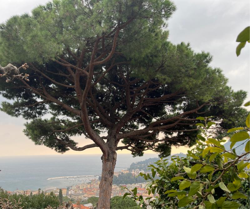 Una luce allorizzonte ma credo rimarra' una giornata