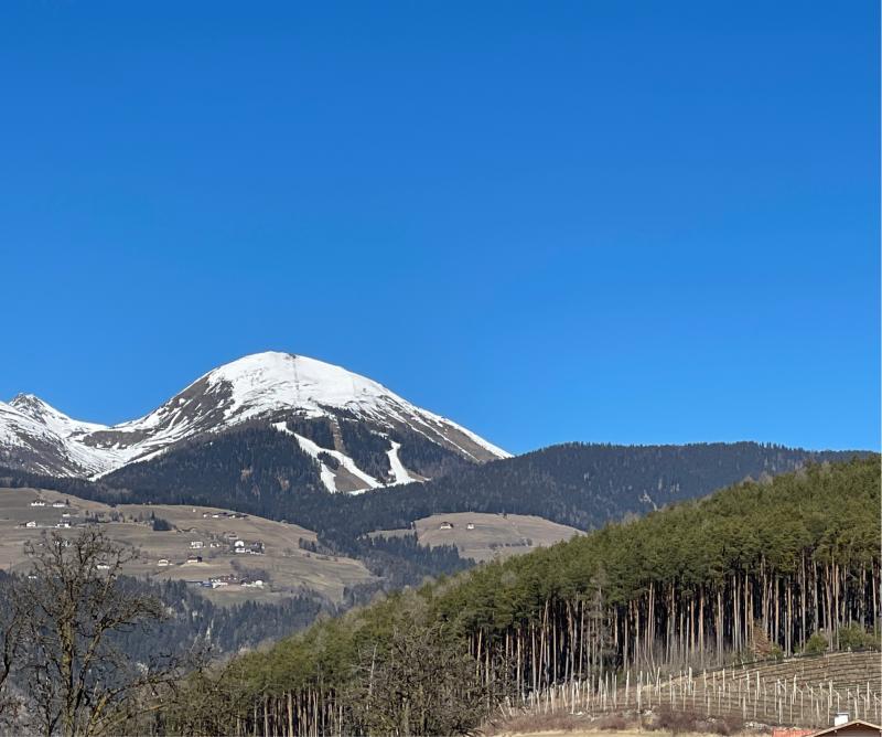 Fotosegnalazione di Naz sciaves
