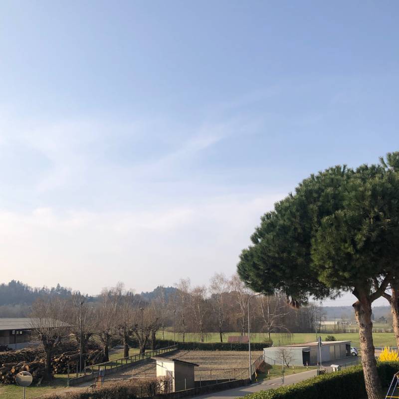 Fotosegnalazione di Gironico