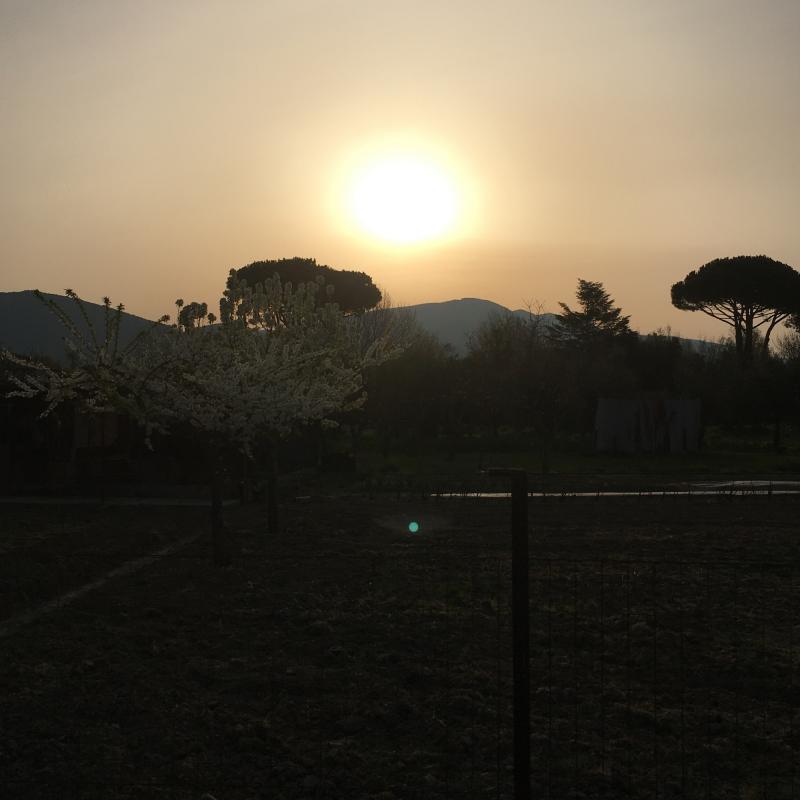 Fotosegnalazione di San giuliano terme