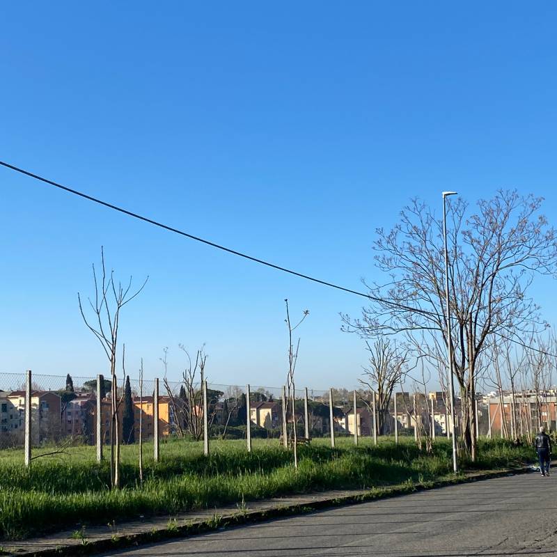 Fotosegnalazione di Roma val melaina