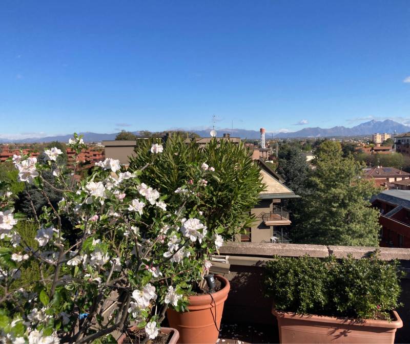 Fotosegnalazione di Vedano al lambro