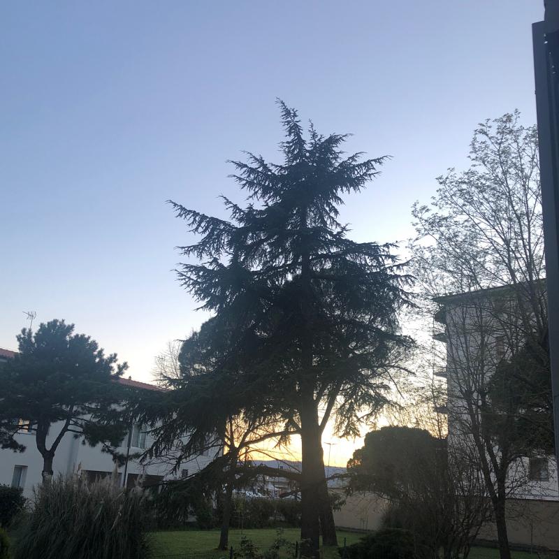 Fotosegnalazione di Campi bisenzio