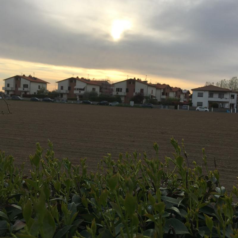 Fotosegnalazione di San giuliano terme