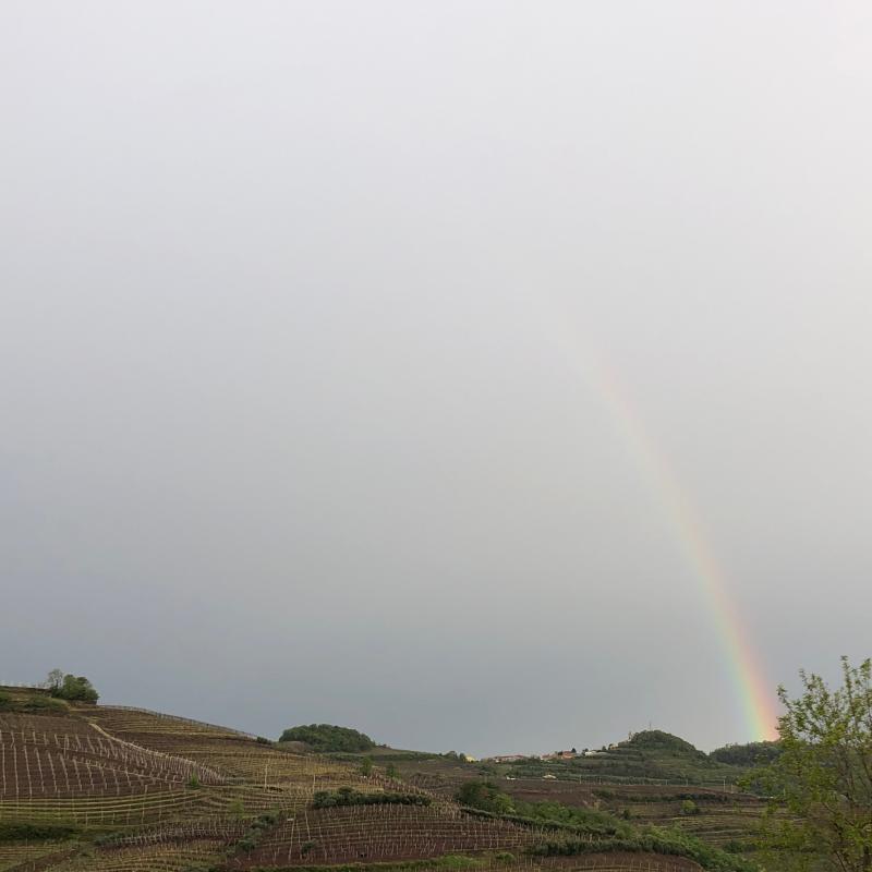 Fotosegnalazione di Monteforte d'alpone