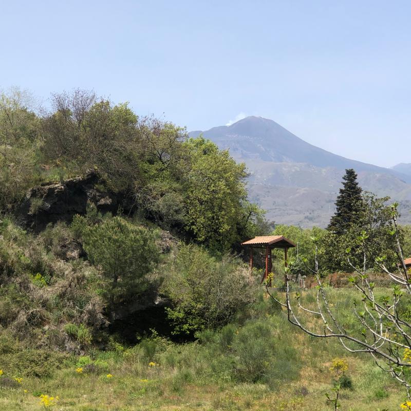 Fotosegnalazione di Trecastagni