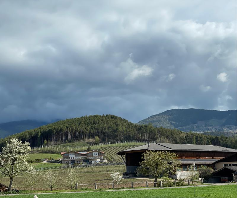 Fotosegnalazione di Naz sciaves