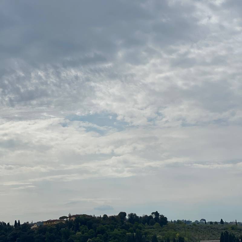 Fotosegnalazione di Scandicci