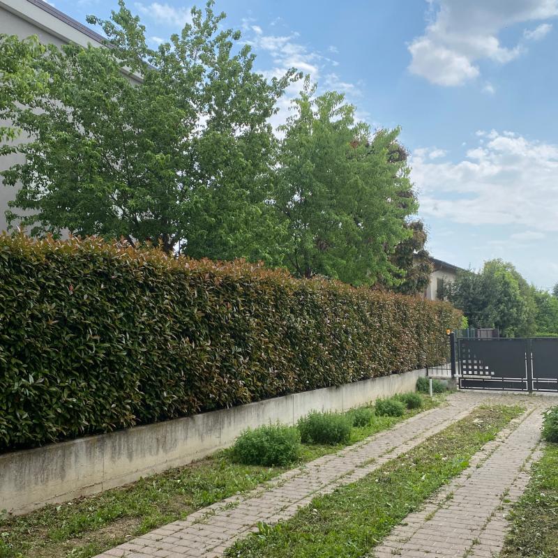 Fotosegnalazione di Mestrino
