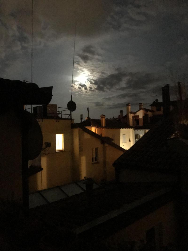 sopra ai tetti di via pescherie