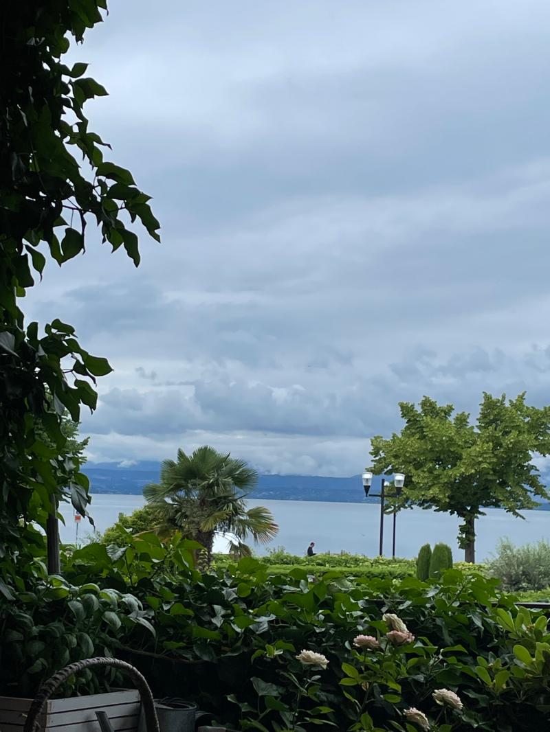 Fotosegnalazione di Bardolino