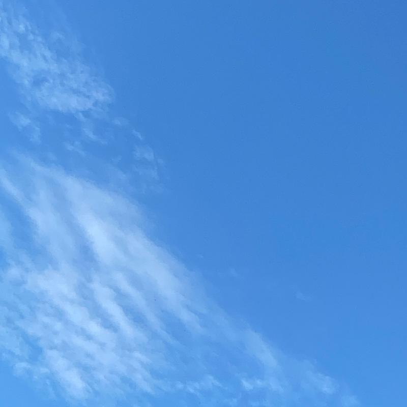 Fotosegnalazione di Prato