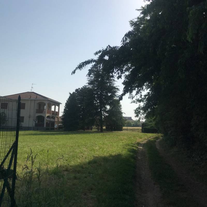 Fotosegnalazione di Olgiate olona