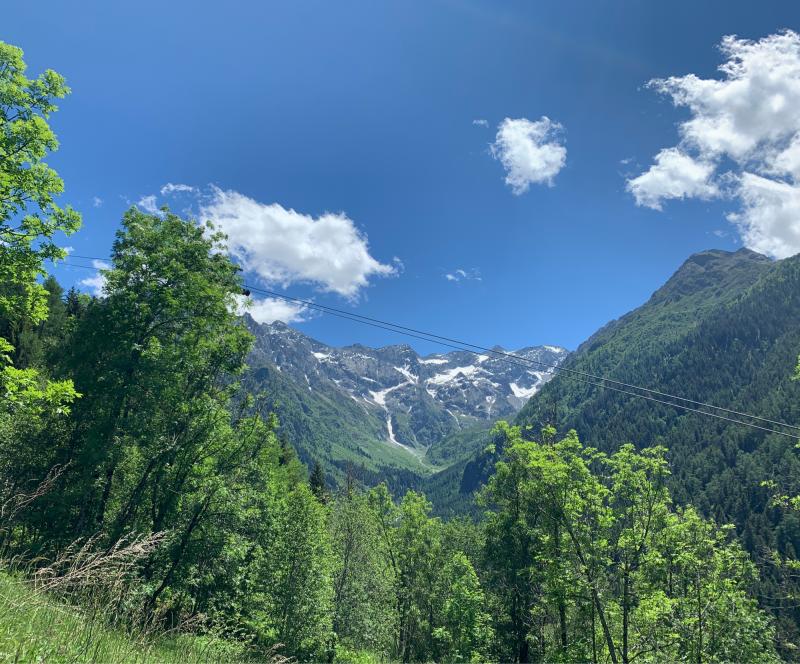 Fotosegnalazione di Ponte di legno