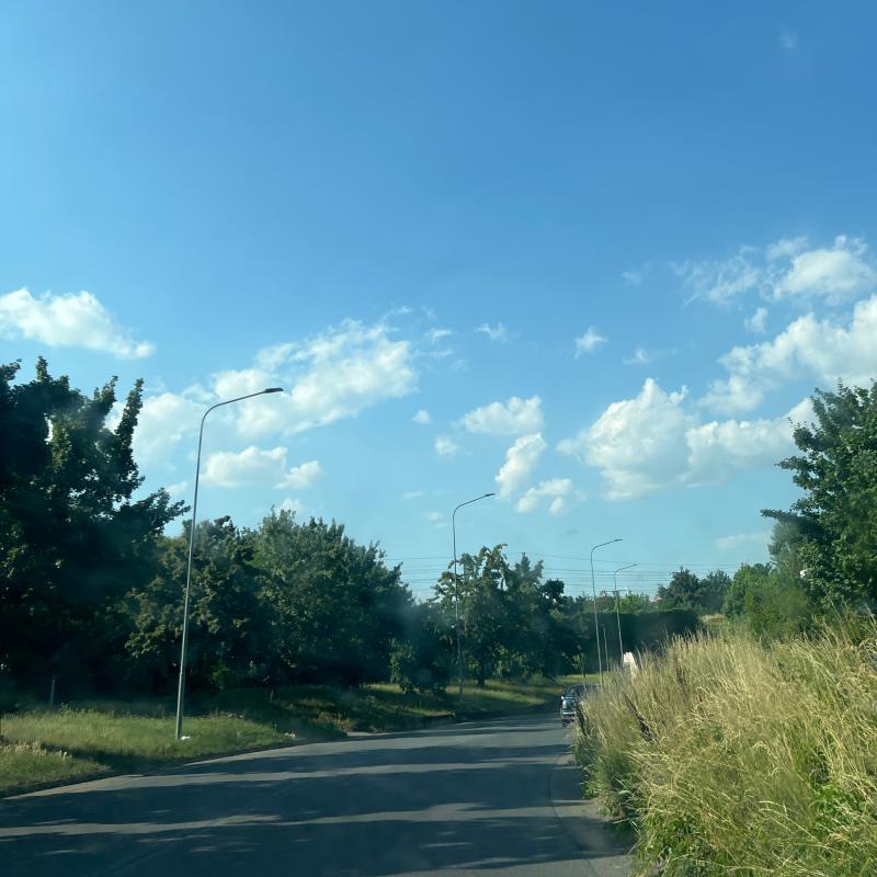 Fotosegnalazione di Novara