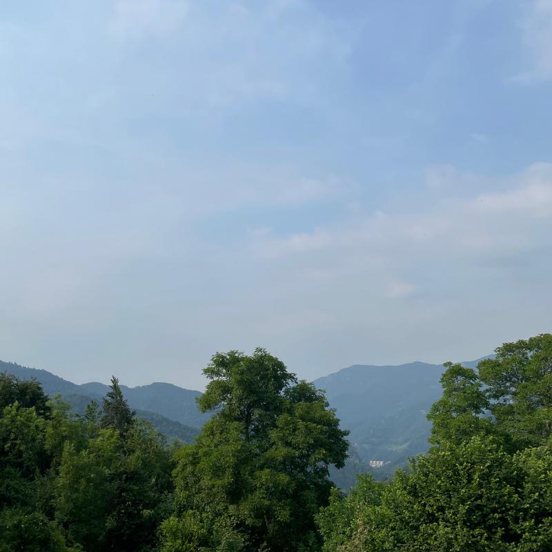 Fotosegnalazione di Vernante