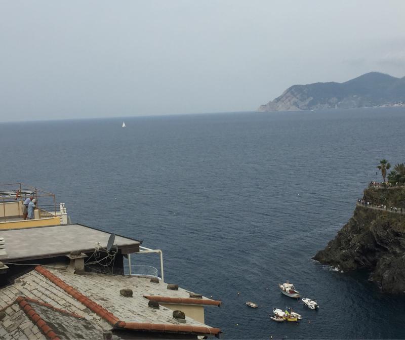 Fotosegnalazione di Manarola