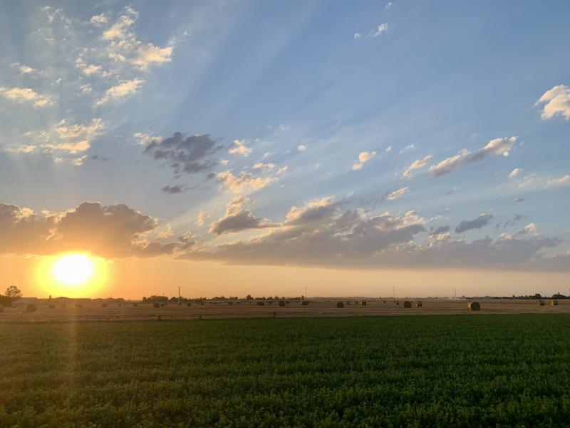 campagna montalbano