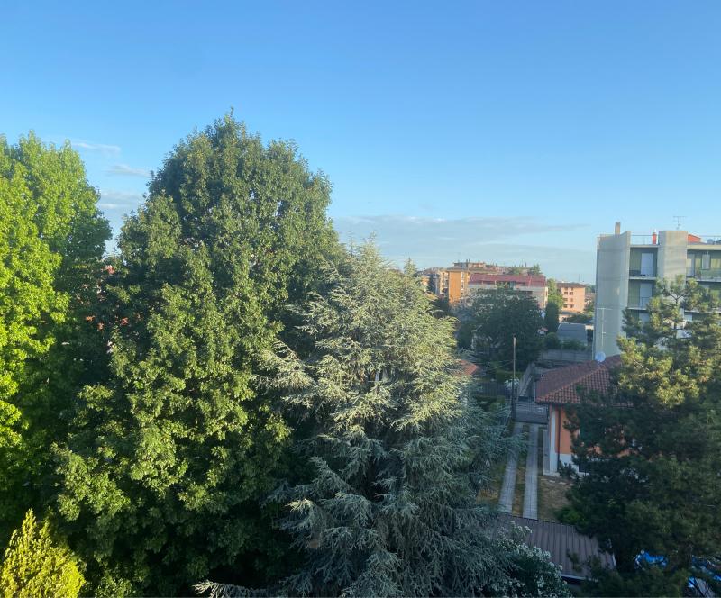 Fotosegnalazione di Castellanza