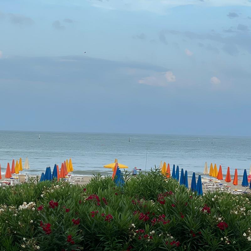 Fotosegnalazione di Lignano sabbiadoro