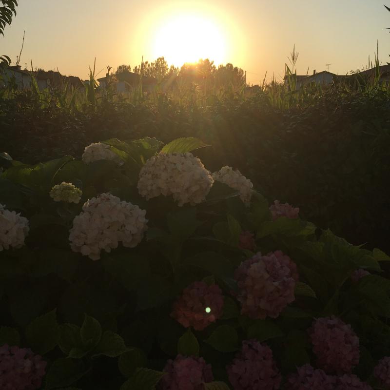 Fotosegnalazione di San giuliano terme