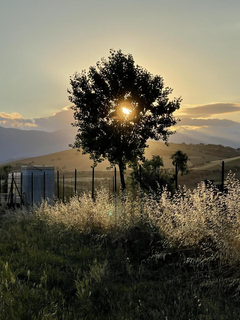 tramonto sul gran sasso