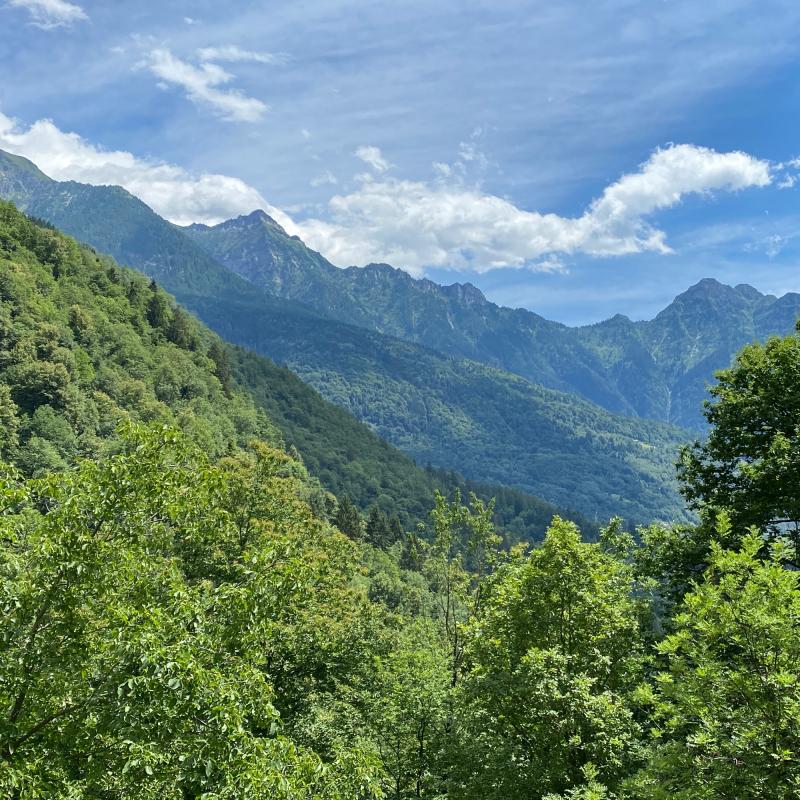 Fotosegnalazione di Baceno