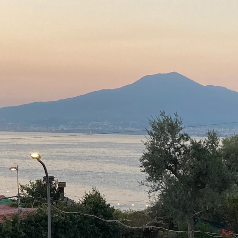 Il vesuvio visto da seiano