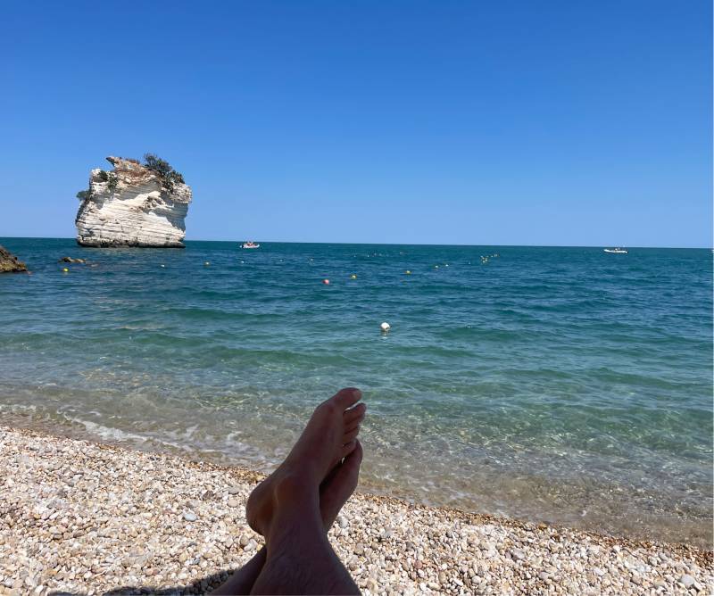 Fotosegnalazione di Mattinata