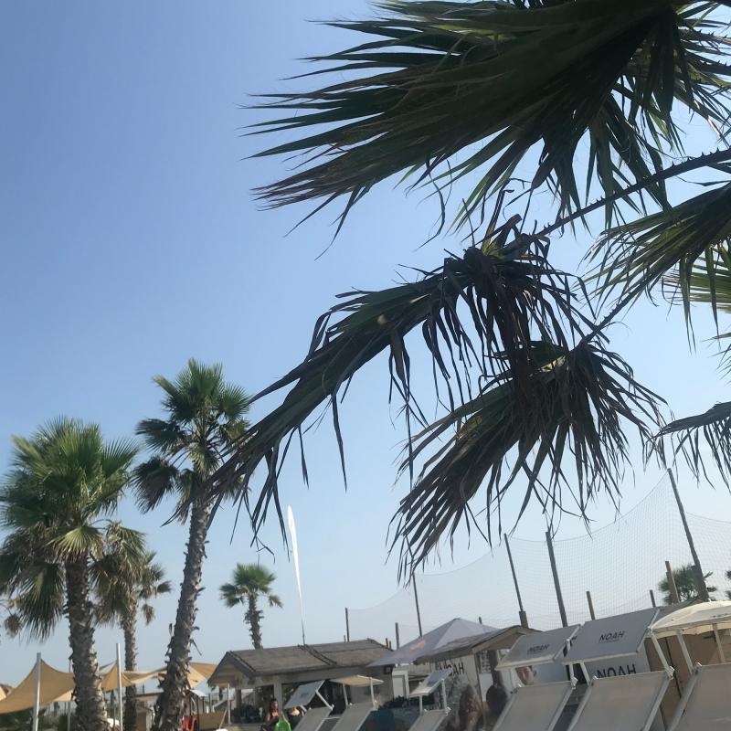Fotosegnalazione di Chioggia