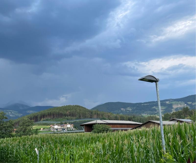 Fotosegnalazione di Naz sciaves