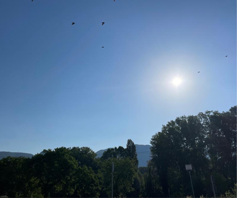 Fotosegnalazione di Cerreto d'esi