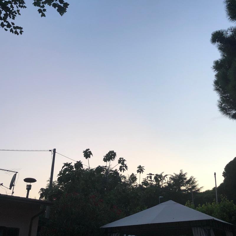 Fotosegnalazione di Massa litorale
