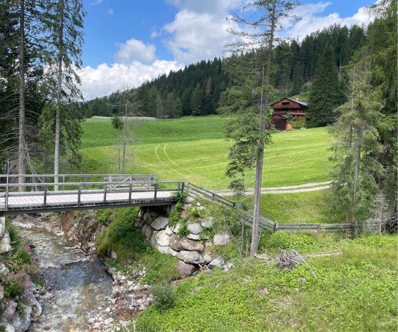 Fotosegnalazione di Sesto