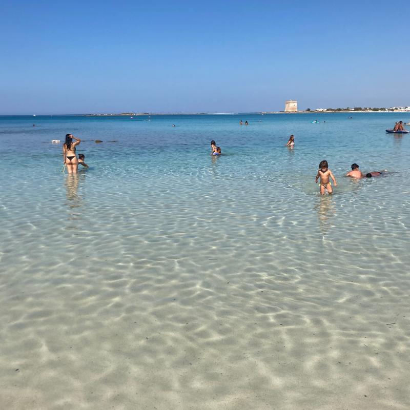 Fotosegnalazione di Porto cesareo