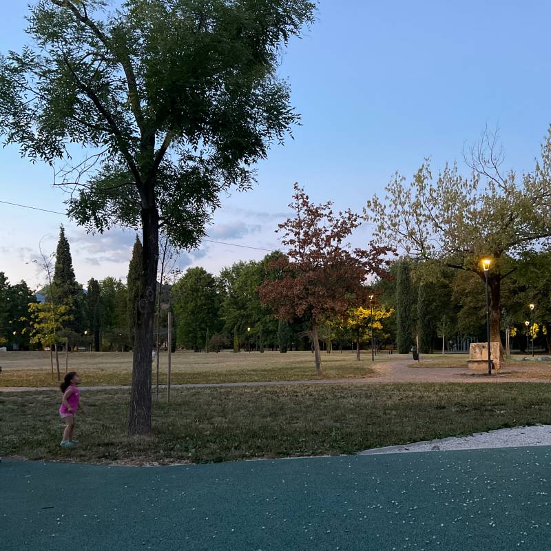 Fotosegnalazione di Bergamo redona