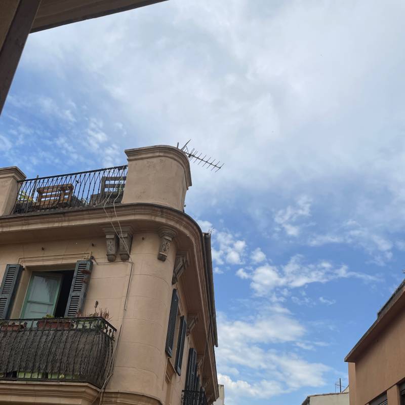 Fotosegnalazione di Palma di maiorca