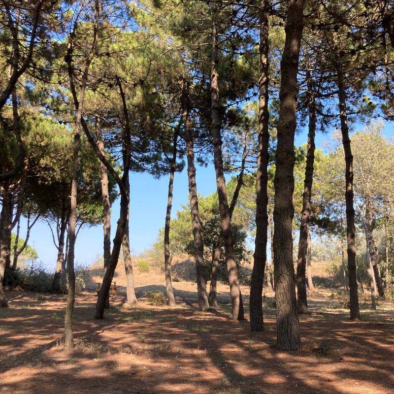 Fotosegnalazione di Lido degli estensi