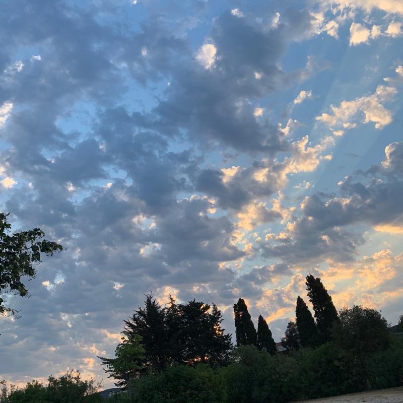 Fotosegnalazione di Riotorto